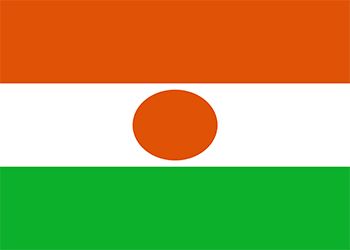 Niger presidential election