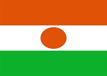Niger presidential election