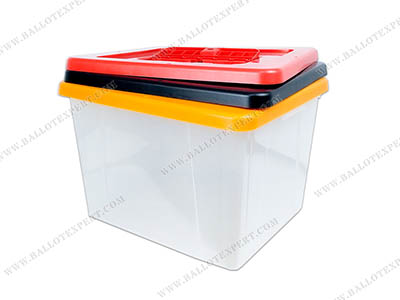 Mozambique election ballot box