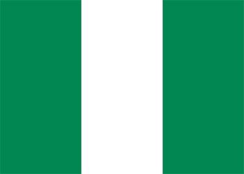 2021 Nigeria Election Reflective Jacket