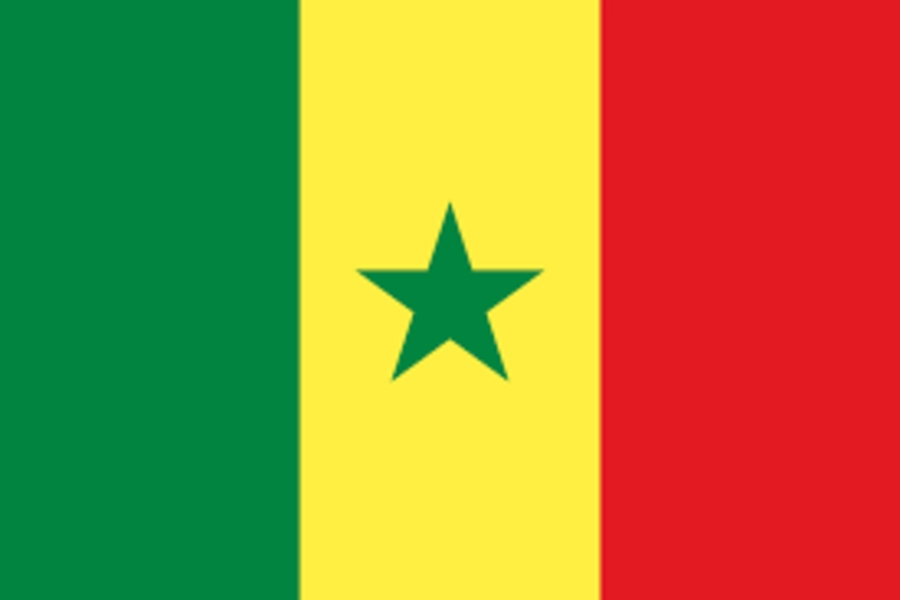 Rubber Stamps for Marking Election Documents as Original or Copy in Senegal
