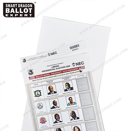 ballot-voting-paper